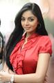 Actress Sanam Shetty @ Thottal Vidathu Movie Press Meet Stills