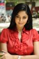 Actress Sanam Shetty @ Thottal Vidathu Movie Press Meet Stills