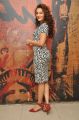 Actress Seerat Kapoor @ Tiger Movie Success Meet Stills