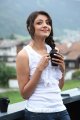 Actress Kajal Agarwal in Tiger Vishva Movie Stills