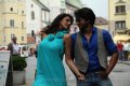 Tiger Vishva Tamil Movie Stills