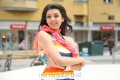 Actress Kajal Agarwal in Tiger Vishva Movie Stills