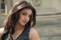 Actress Kajal Agarwal in Tiger Vishva Movie Stills