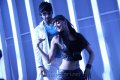 Naga Chaitanya, Kajal Agarwal in Tiger Vishva Movie Stills