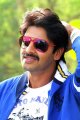 Srikanth in Tiger Vishva Movie Stills