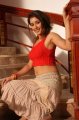 Samiksha Singh in Tiger Vishva Movie Stills