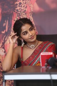 Anupama Parameswaran @ Tillu Square Movie Success Meet Stills