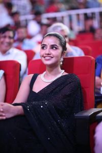 Anupama Parameswaran @ Tillu Square Movie Success Meet Photos