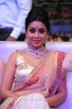 Actress Shriya Saran @ Tollywood Channel Launch Stills