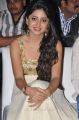 Poonam Kaur @ Tollywood Channel Launch Stills