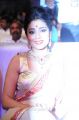 Actress Shriya Saran @ Tollywood Channel Launch Stills