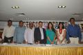 Tollywood Cinema Channel Fundraising Event Pictures