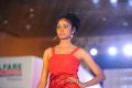 Tollywood Miss Andhra Pradesh 2012 Photos