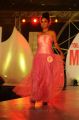 Tollywood Miss AP 2012 Contest Photos