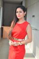 Actress Sadha @ Torch Light Movie Press Meet Stills