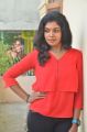 Actress Riythvika @ Torchlight Movie Team Interview Stills