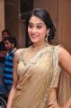 Regina Cassandra @ Travel New Roads Magazine Launch Photos