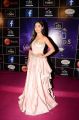 Tridha Choudhury Hot HD Images @ Zee Apsara Awards 2018