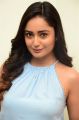 Actress Tridha Choudhury Photos @ 7 Movie Press Meet