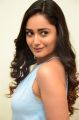 7 Movie Actress Tridha Choudhury Photos