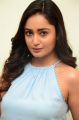 Actress Tridha Choudhury Photos @ 7 Movie Press Meet