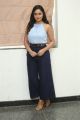 Actress Tridha Choudhury Photos @ 7 Movie Press Meet