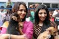 Amala, Anuja Iyer at Blue Cross Building Launch Stills