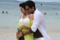 Trisha & Siddharth in Aranmanai 2 Movie Stills