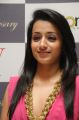 Tamil Actress Trisha Close Up Photos
