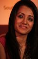 Tamil Actress Trisha Cute Smile Stills
