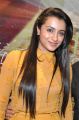 Actress Trisha Krishnan Photos @ Thoonga Vanam First Look Launch