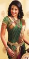 Cute Trisha Krishnan Saree Photoshoot for NAC Jewellers Ad