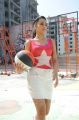 Actress Trisha Hot Photos in Dammu Movie