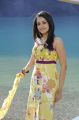 Dammu Movie Actress Trisha Hot Photos
