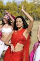 Dammu Movie Heroine Trisha Hot Photos