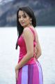 Actress Trisha Hot Photos in Dammu Movie