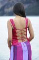 Actress Trisha Hot Photos in Dammu Movie