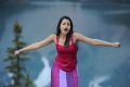 Actress Trisha Hot Photos in Dammu Movie