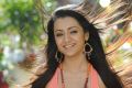 Actress Trisha Hot Photos in Dammu Movie