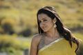 Trisha Latest Hot Photos in Dammu Movie