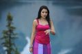 Dammu Movie Actress Trisha Hot Photos