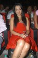 Trisha Hot Pics in Red Skirt