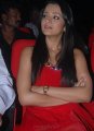 Trisha Hot Pics in Red Skirt