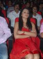 Trisha Hot Pics in Red Skirt