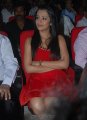 Trisha Hot Pics in Red Skirt