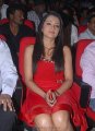 Trisha Hot Pics in Red Skirt