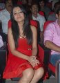 Trisha Hot Pics in Red Skirt