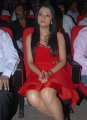 Trisha Hot Pics in Red Skirt