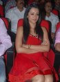 Trisha Hot Pics in Red Skirt