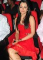 Trisha Hot Pics in Red Skirt